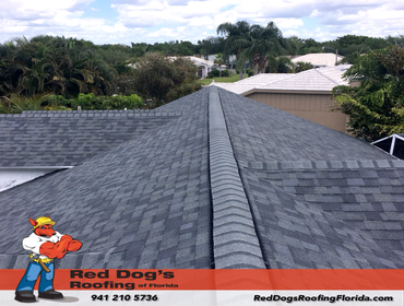 Photos by Red dog's Roofing of Florida #1