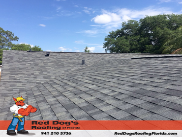 Photos by Red dog's Roofing of Florida #1