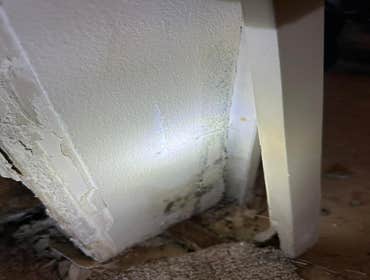 Water Mitigation This project was a roof leak the photos show initial inspection to post demo.