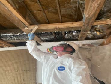 Photos by Quality Restoration Services Inc #1