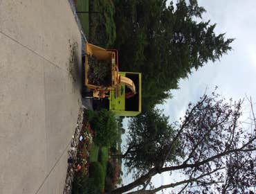 Tree Service South Jersey