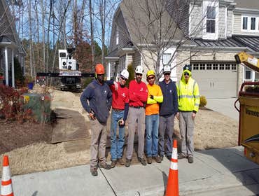 Photo(s) from Cs Tree Services