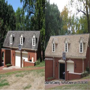 Cedar roof cleaning