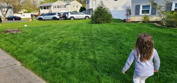Photos by Blue Line Lawn Care Nj #1