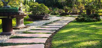 Photos by McAllen Landscaping Pros #1 Landscaping Services Work Projects in McAllen TX