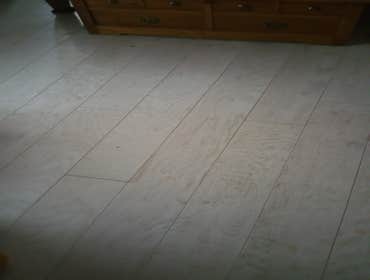 Photos from Burton Construction Services, Inc