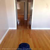 Hardwood Revival