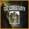 Cst Consultants LLC logo