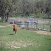 Denny hanging out by the array