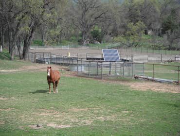 Denny hanging out by the array