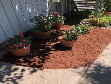 Photos by Jose Luis Landscaping #3