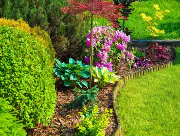 Photos by Sedona Agave Landscaping LLC #1