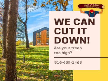 We Care Tree Services Looking for complete tree service. From tree removal to land clearing – We Care Tree Service can handle all of your tree service 