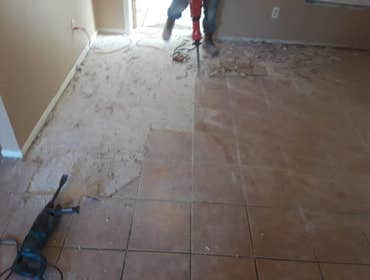Photos by Dynamic Removal Services #1