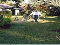 Photos by Paino Pest Management #1