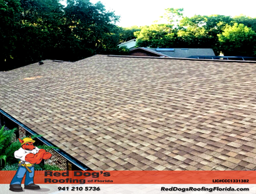 Photos by Red dog's Roofing of Florida #1
