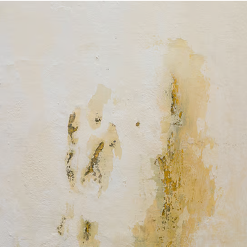 Photos by Mold Remediation Detroit Solutions #1