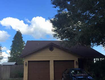 Photos by Dynasty Building Solutions (ccc1330607) #1