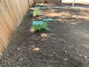 Photos by J&o Snow Removal and Landscaping Services LLC #2