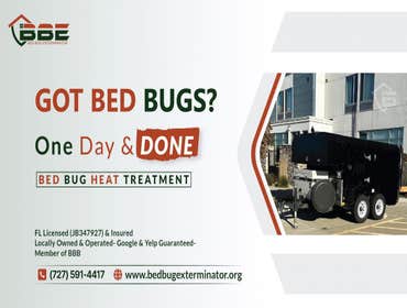 Photos by Bed Bug Exterminator | ST. Petersburg #1