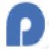 Page Construction Inc logo