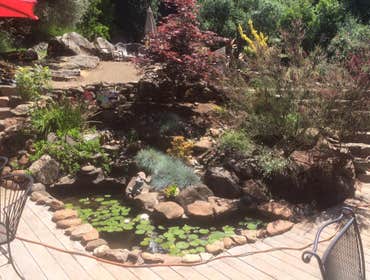 Thomas Landscapes Project