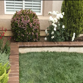 Project Photos