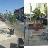 Photo(s) from Carter Hodge Construction