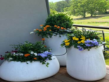 Photos by Hernandez ASSOC. Landscaping