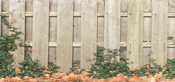 Fences