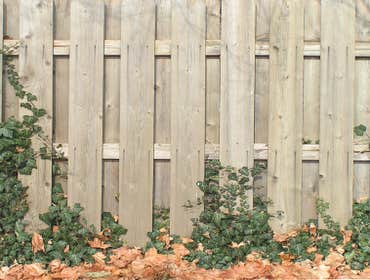Fences