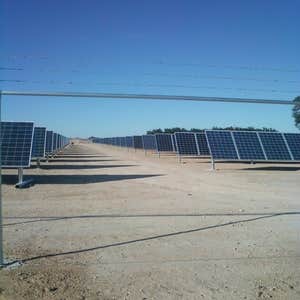 Local Projects