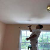 Leo the Best Painter