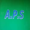 Absolute Perfection Service logo