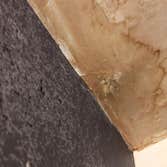 Photos by Mold Remediation Chandler Answers #1