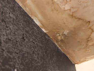 Photos by Mold Remediation Chandler Answers #1