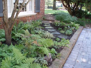 Custom Landscape Services Gallery At Custom Landscape Services we are Changing the Face of the Earth one Landscape at a Time!
We are proud of the wor