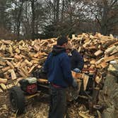 Photos from Big Brothers Tree Service & Landscaping Inc