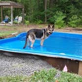 Photos from River Pools & Spas Inc