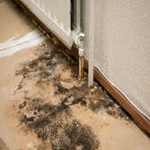 Photos by Evergreen State Mold Inspection #1