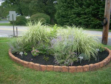Short Cutter's Inc Project Page Above are pictures of some of the various services that we offer.