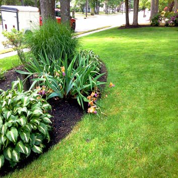 edging example PROPER STREET EDGING AND CURB EDGING IS A MUST - WE EDGE EVERY WEEK
ALSO FLOWER BEDS GRASS OR BORDER ROCK ,WE EDGE EVERYTHING TIGHT & 