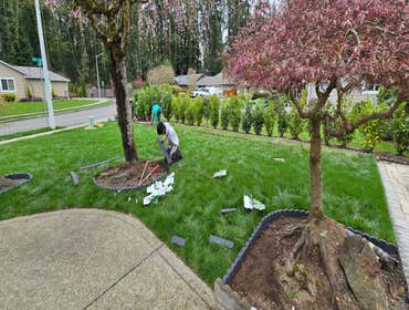 Photos by Mv Top Landscaper LLC #1