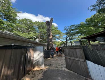 Photos by Beauty Meister Landscaping LLC #2
