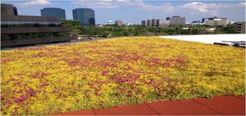 Green Roof
