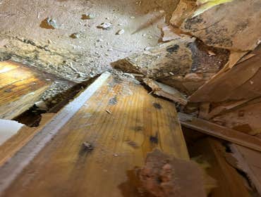 Water Mitigation This project was a roof leak the photos show initial inspection to post demo.