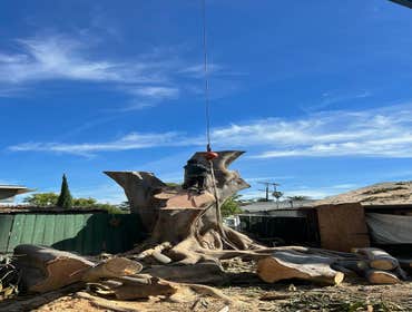 Photos by California Green Tree Care #1