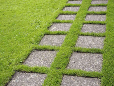 Photos by Cruz Hardscaping #1
