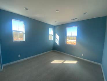 Custom painting walls