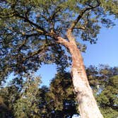 Choice Land Clearing Waco